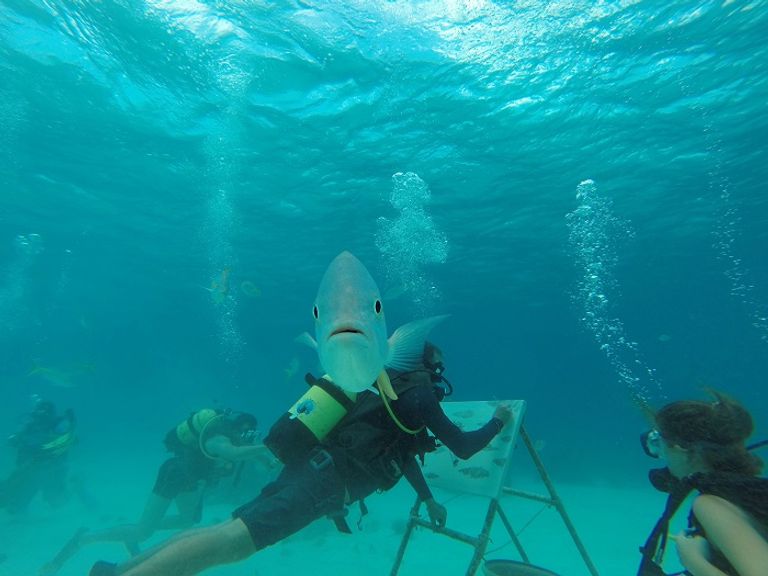 الرسام الكوبي ساندور جونزاليس