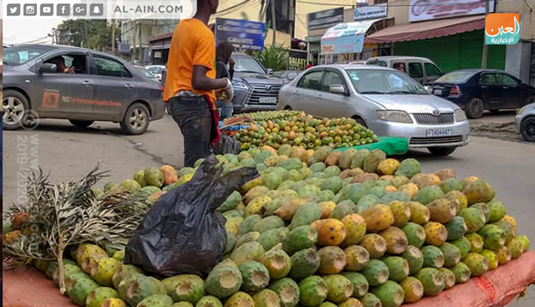 التين الشوكي ثمرة يحبها الإثيوبيون