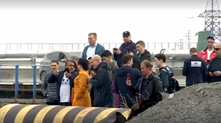 أنثى الدب تعبر طريقا للسيارات