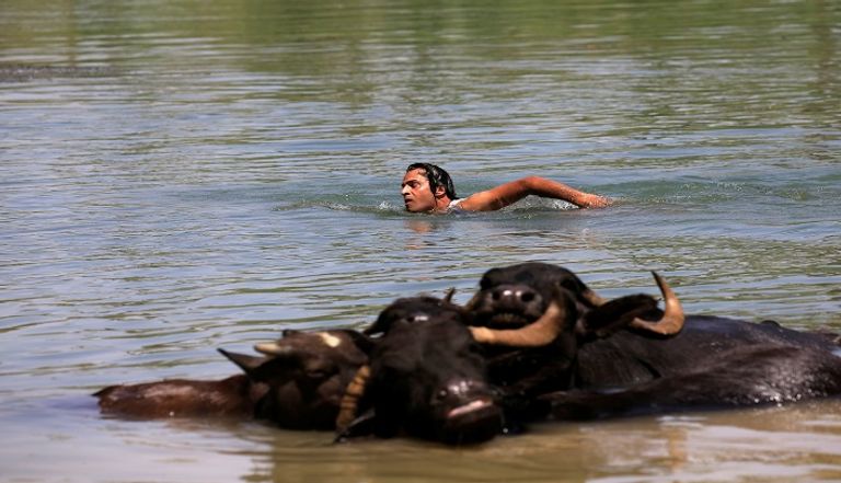 أحواض السباحة والأنهار ملاذ العراقيين للهروب من الحر 