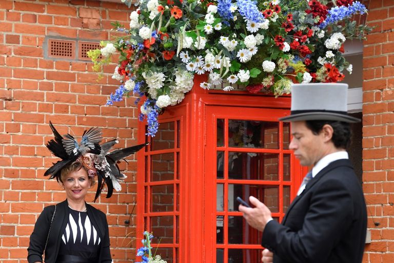 حسناوات بريطانيا في مهرجان اسكوت للخيول