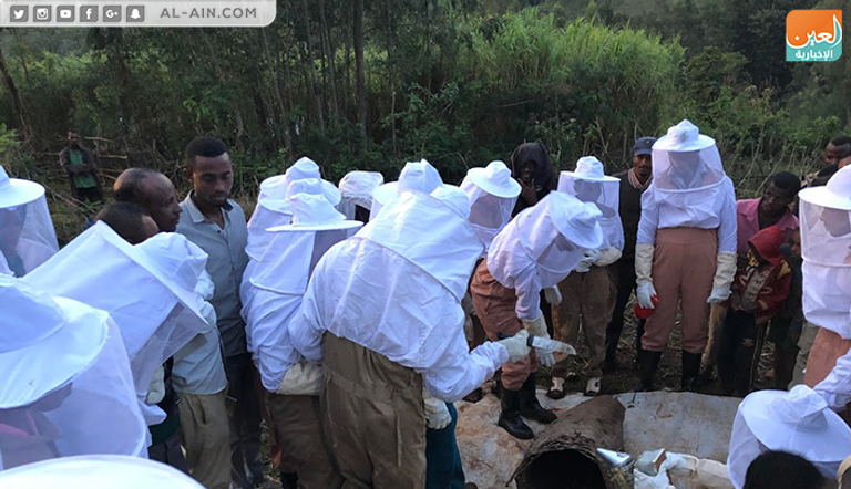 توقيع مذكرة تفاهم لدعم إنتاج وجودة العسل الإثيوبي