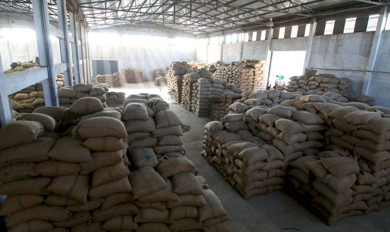 السعودية تحتل صدارة مستوردي البن الإثيوبي