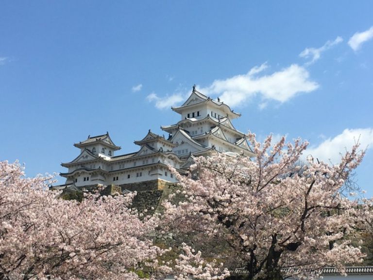 قلعة هيميجي في محافظة هيوغو قلعة أوساكا في اليابان