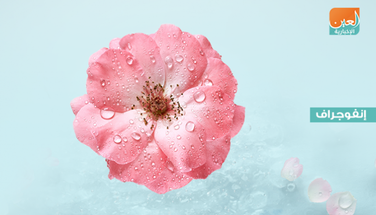  8 فوائد صحية لماء الورد