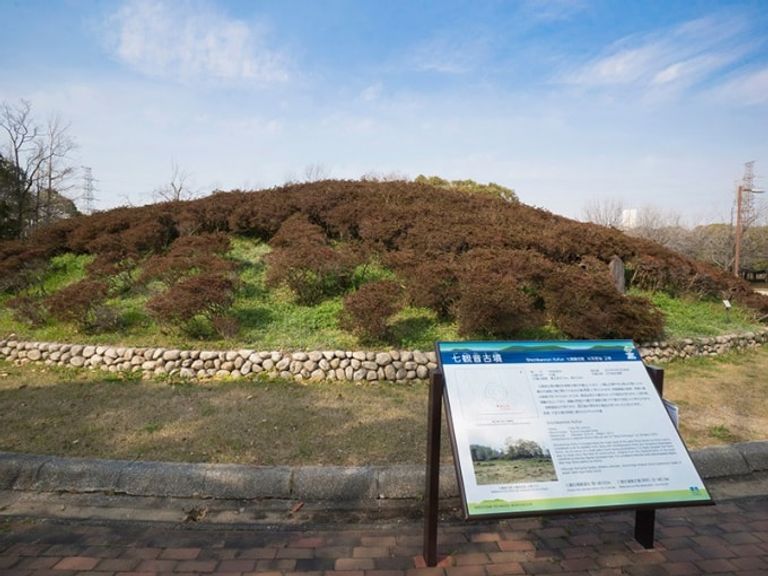 مدينة ساكاي اليابانية