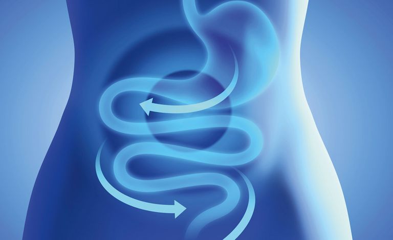 التمر يحتوي على فوائد صحية عديدة