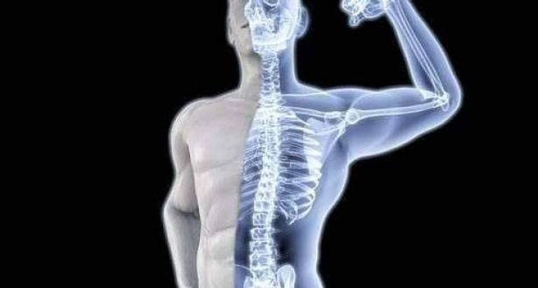 التمر يحتوي على فوائد صحية عديدة