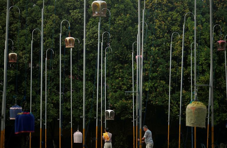 أقفاص اليمام تعلق على عواميد عالية