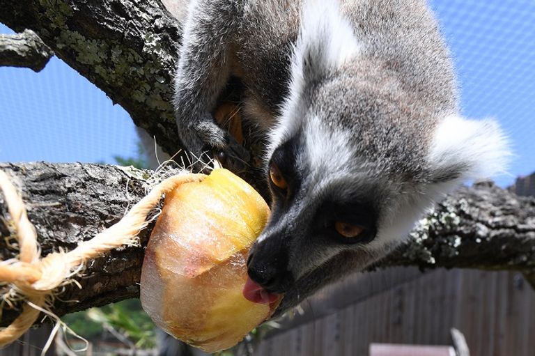 الأوروبيون لجأوا إلى الشواطئ هربا من الحر