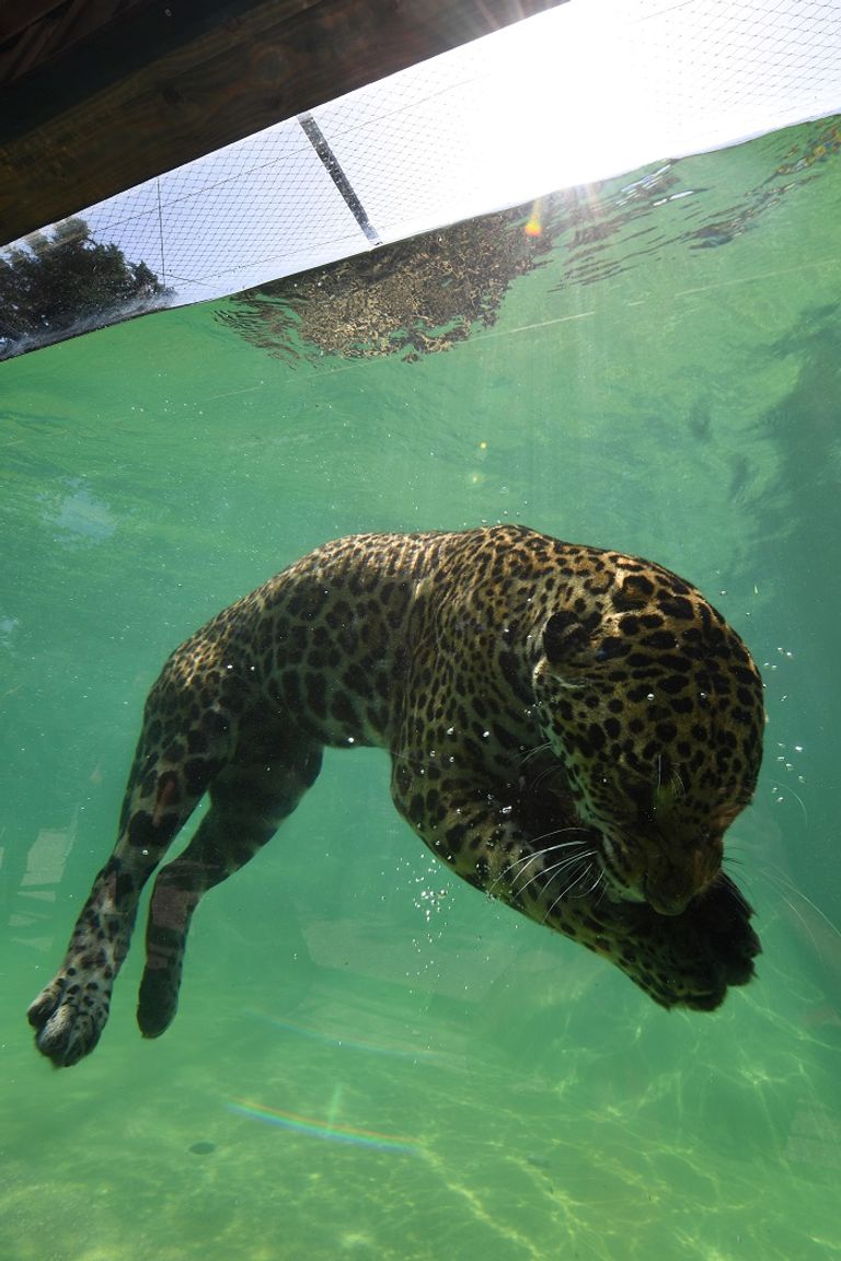 الأوروبيون لجأوا إلى الشواطئ هربا من الحر