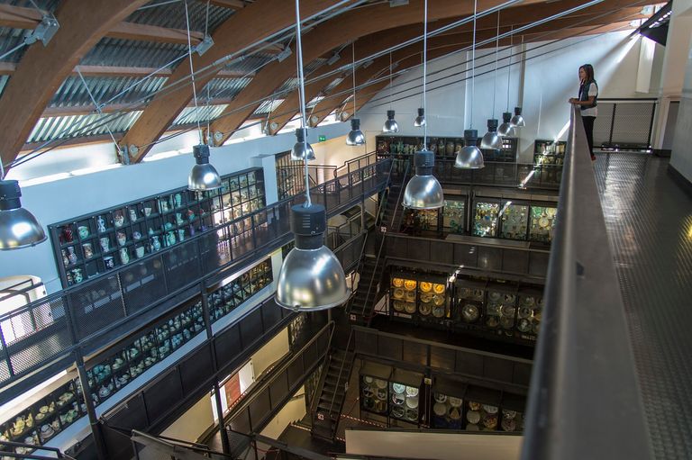 ديروتا.. مدينة أقدم متحف إيطالي للسيراميك