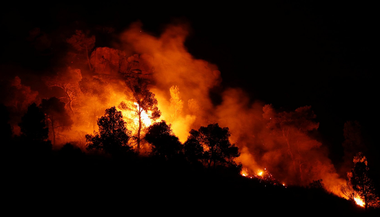 حرائق الغابات تجتاح القارة الأوروبية