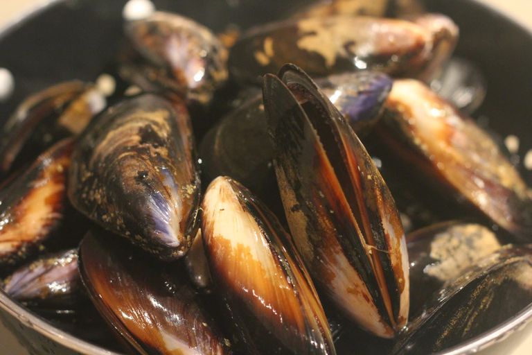 المحار أعراض نقصان الزنك وأهم الأطعمة الغنية به