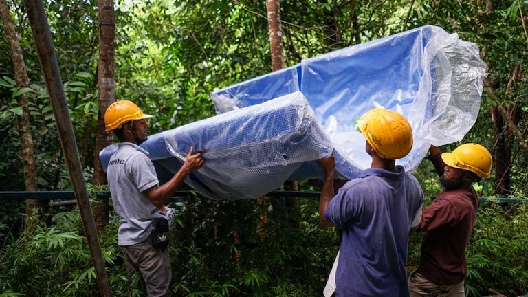 لقطة من المنحدر في أدغال جزيرة بينانج الماليزية
