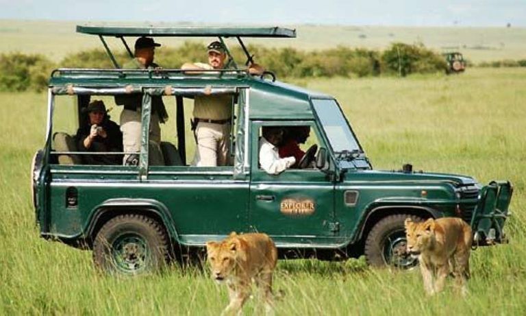 مغامرة التنزه وسط الطبيعة ومحميات الحيوانات داخل القارة السمراء