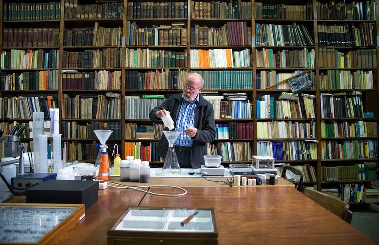 الدوافع وراء انقراض الحشرات تتمثل في التحضر والتلوث