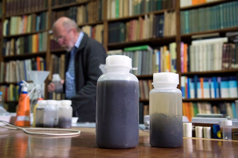 الدوافع وراء انقراض الحشرات تتمثل في التحضر والتلوث