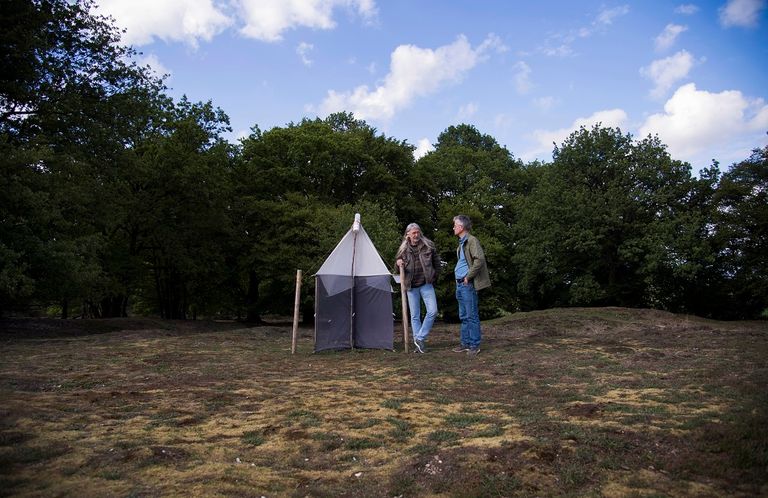 الدوافع وراء انقراض الحشرات تتمثل في التحضر والتلوث