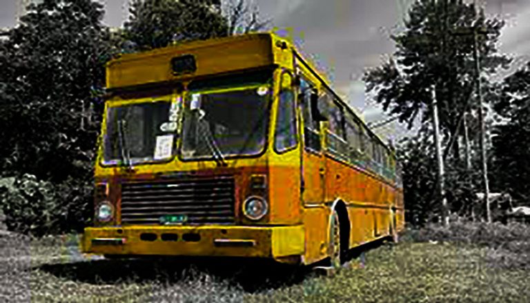 أنبسا أسطول النقل الإثيوبي 