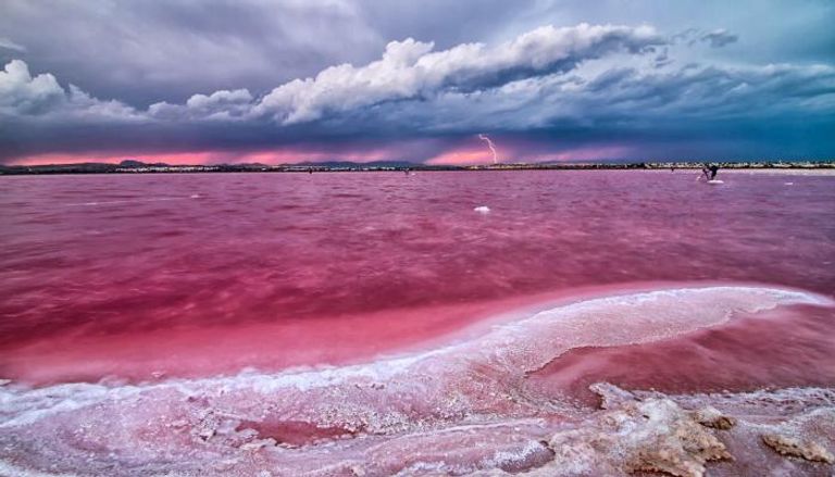 بحيرة توريفايجا الوردية الإسبانية