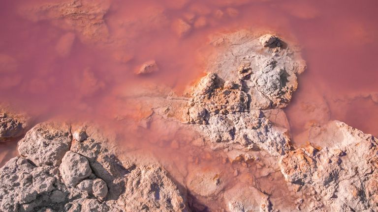 بحيرة توريفايجا الوردية الإسبانية