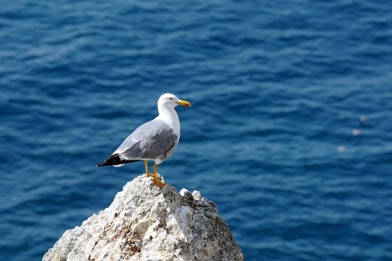 جزر تريميتي.. متعة الاستجمام في المياه الفيروزية