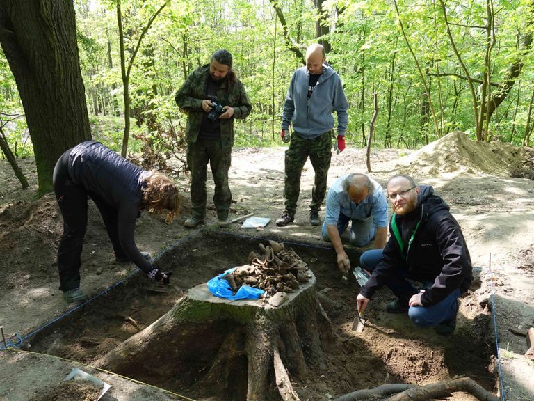 كانت هذه المشانق عقاب للأشخاص الذين اقترفوا جرائم خطيرة جدا