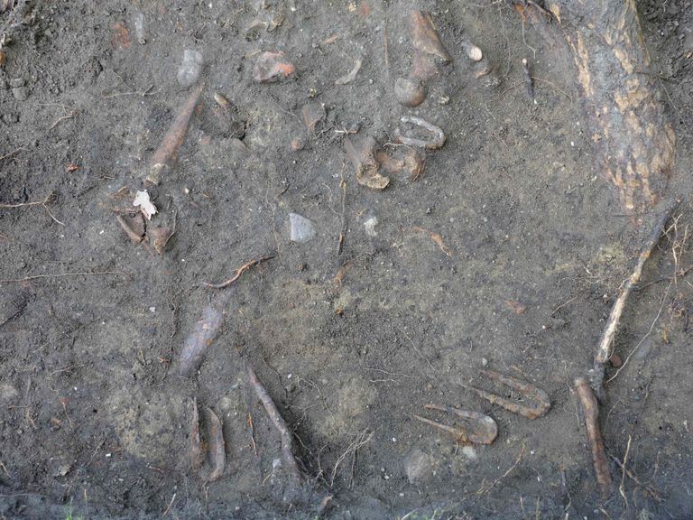 كانت هذه المشانق عقاب للأشخاص الذين اقترفوا جرائم خطيرة جدا