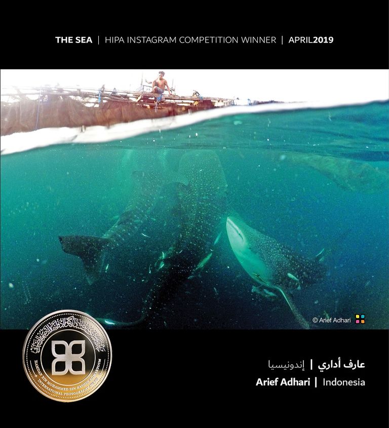 الصورة الفائزة بمسابقة "التقاليد" للهندي مايانك براجاباتي