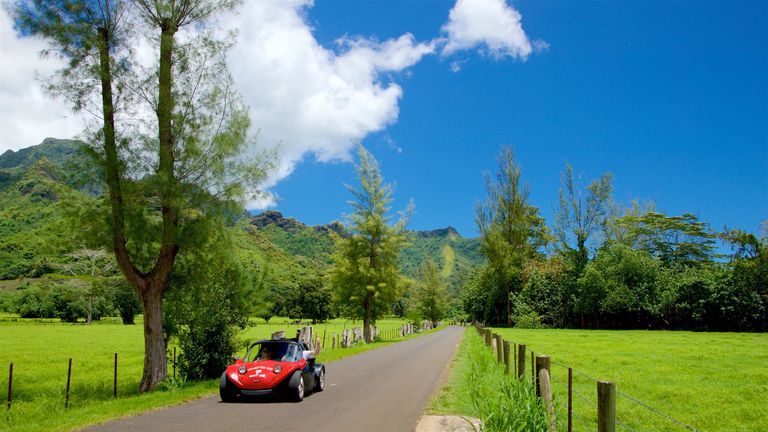 جزيرة موريا الفرنسية