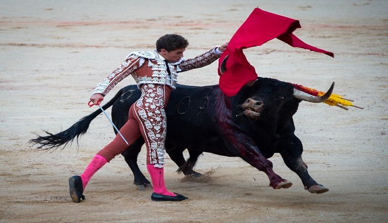 سباقات الثيران الهائجة باحتفالات سان فيرمين التقليدية في نافارا