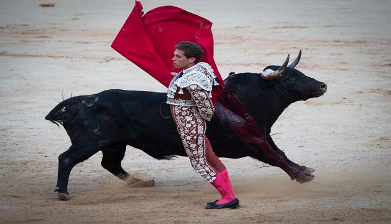 سباقات الثيران الهائجة باحتفالات سان فيرمين التقليدية في نافارا