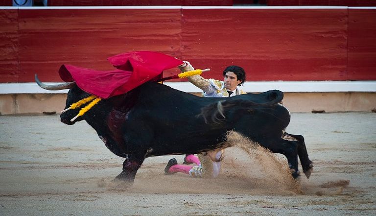 سباقات الثيران الهائجة باحتفالات سان فيرمين التقليدية في نافارا