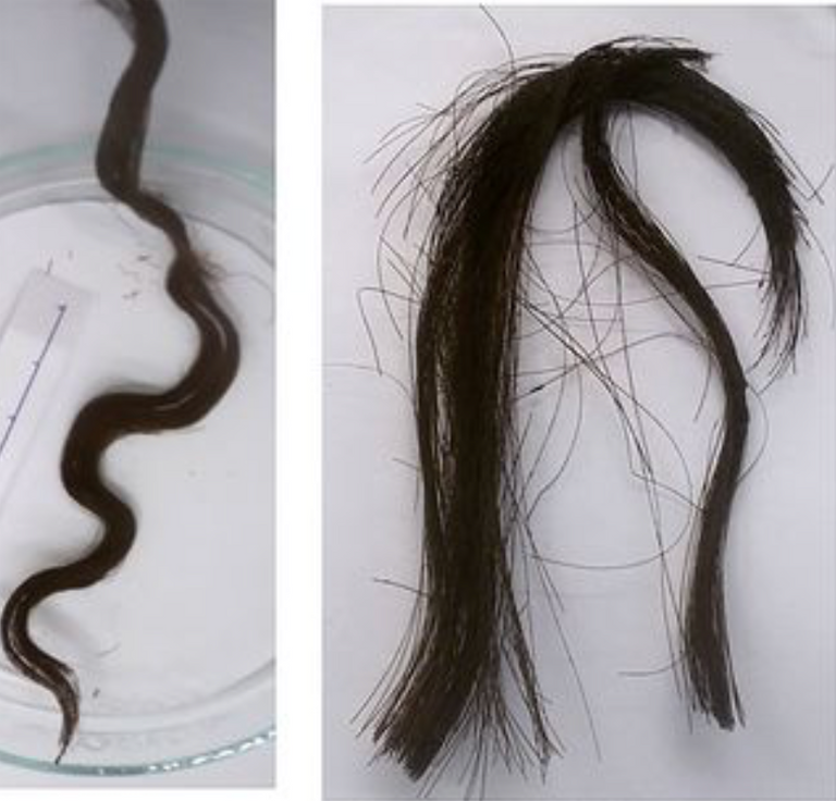 علماء روس يكشفون سر الحفاظ على شعر المومياء