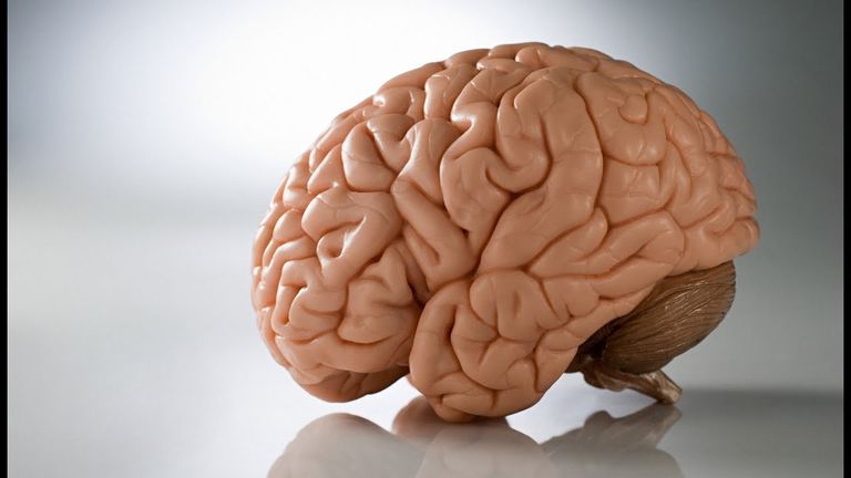 معالجة ارتفاع ضغط الدم يقي من السكتة الدماغية - أرشيفية