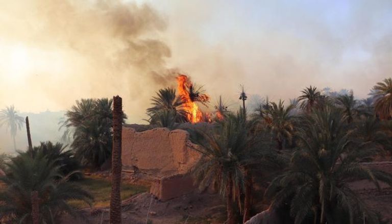 حريق في نخيل غدامس الليبية 