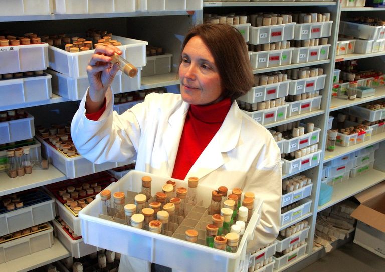 العالمة سوزان إيتون اختفت منذ 4 يوليو قبل العثور عليها بأحد كهوف كريت