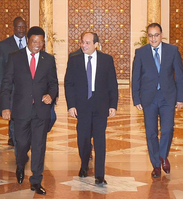 جانب من لقاء الرئيس المصري ورئيس وزراء تنزانيا الرئيس المصري ورئيس وزراء تنزانيا