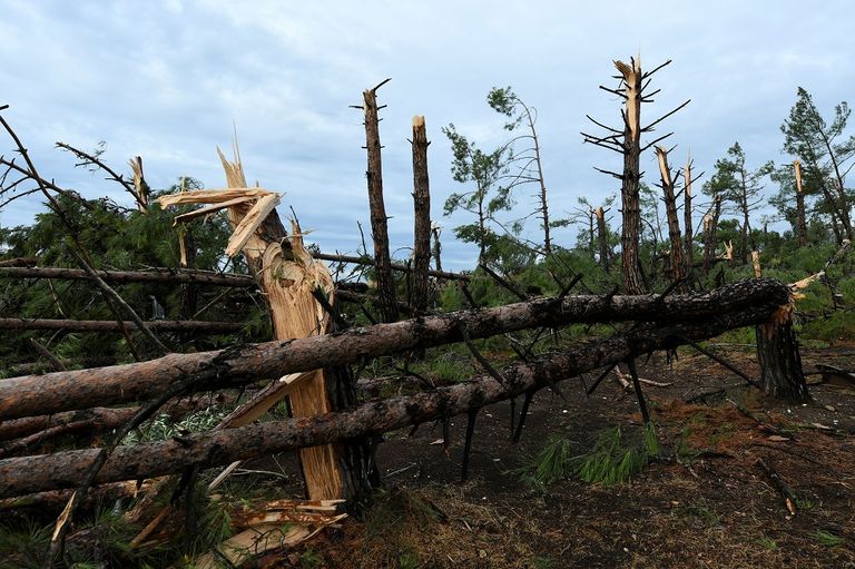 العاصفة سببت دماراً واسع النطاق (رويترز)