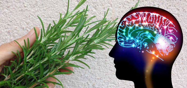 طرق زيادة مستوى الذاكرة وتحسينها