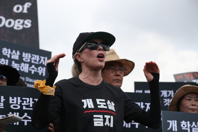 باسنجر تشتهر بأفلام مثل 