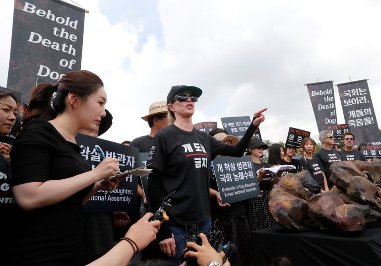 باسنجر تشتهر بأفلام مثل 