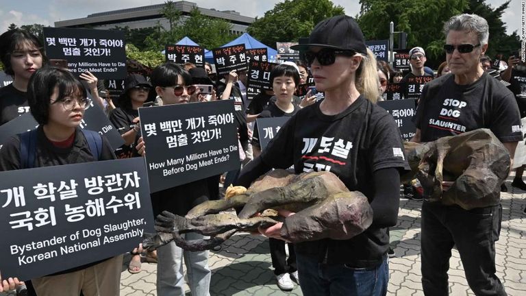 باسنجر تشتهر بأفلام مثل 