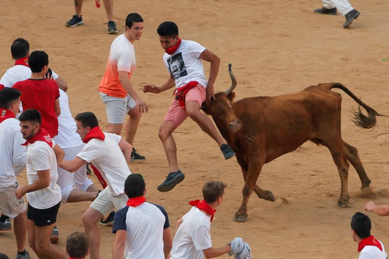 المصارعون يقتلون الثيران في وقت لاحق بالحلبة