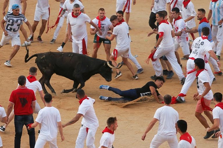 المصارعون يقتلون الثيران في وقت لاحق بالحلبة