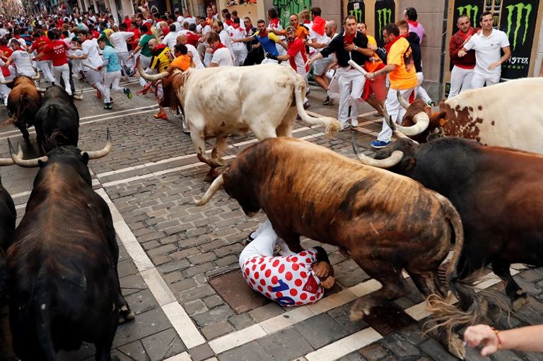 المصارعون يقتلون الثيران في وقت لاحق بالحلبة