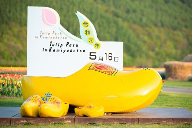 حديقة زهور التوليب كامي يبيتسو