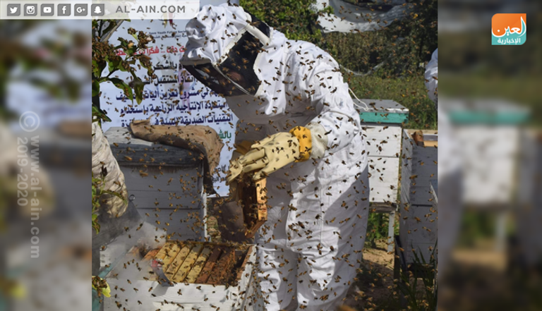سمر البع تقتحم ميدان تربية النحل في غزة 