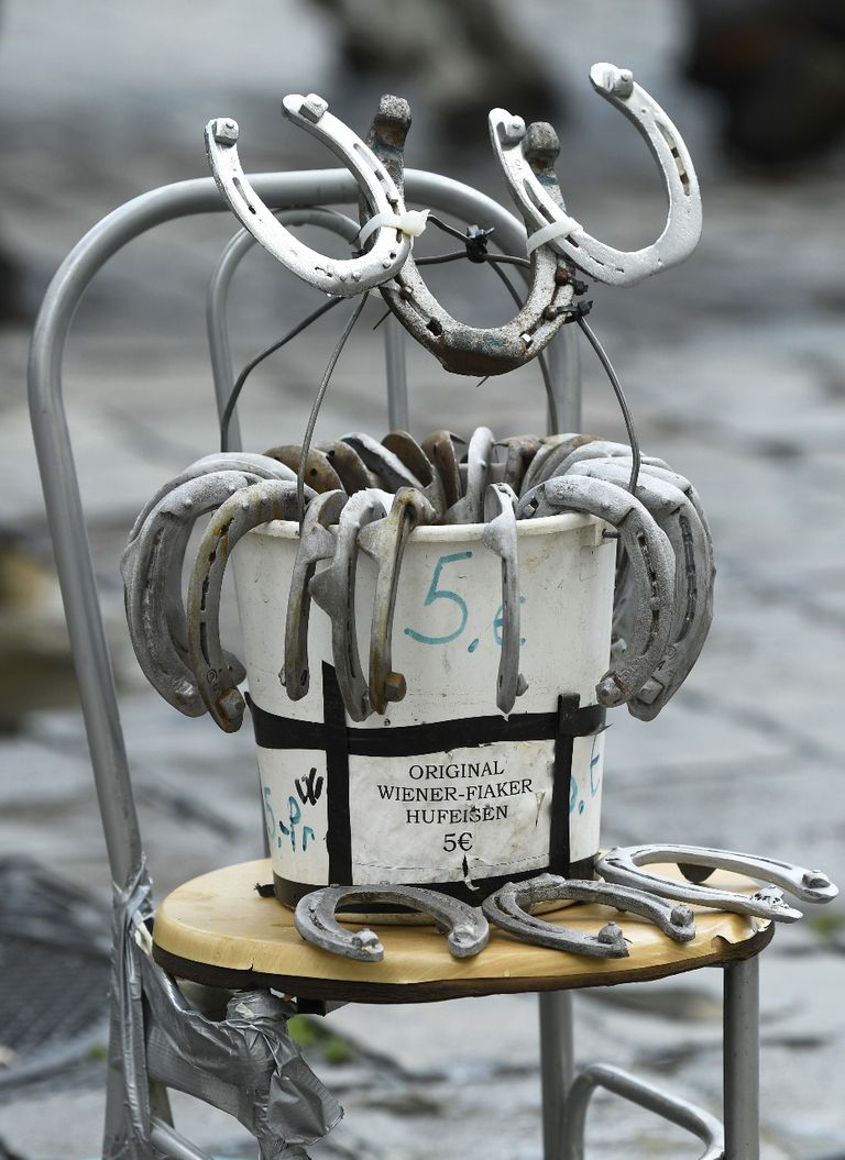 العربات التي تجرها الخيول تقاوم الحداثة في النمسا